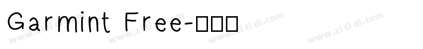 Garmint Free字体转换